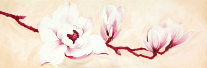 Picture of MAGNOLIAS I