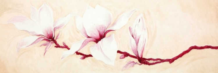 Picture of MAGNOLIAS II