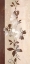 Picture of FLORAL CONCERTO I