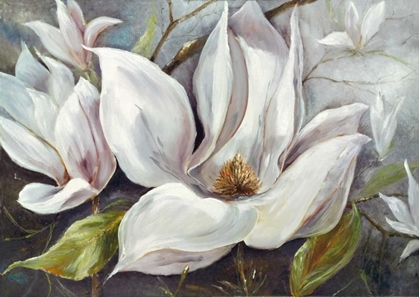 Picture of TENDER MAGNOLIAS I