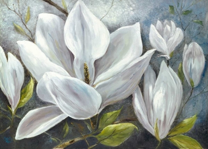 Picture of TENDER MAGNOLIAS II