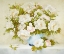 Picture of MEDLEY IN SOFT YELLOW