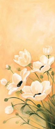 Picture of WHITE POPPIES 1-3
