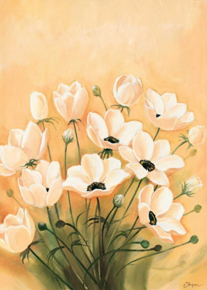 Picture of WHITE POPPIES 2-3