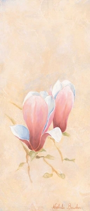 Picture of PINK MAGNOLIA 3-3