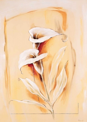 Picture of CALLA LILLIES