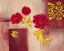 Picture of RED ESSENCE