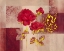 Picture of RED IMPRESSION