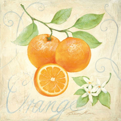 Picture of ORANGE