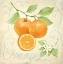 Picture of ORANGE