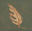 Picture of TREE LEAF I