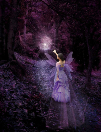 Picture of NIGHT FAIRY