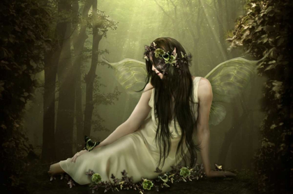 Picture of FOREST FAIRY