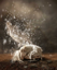 Picture of SORROW