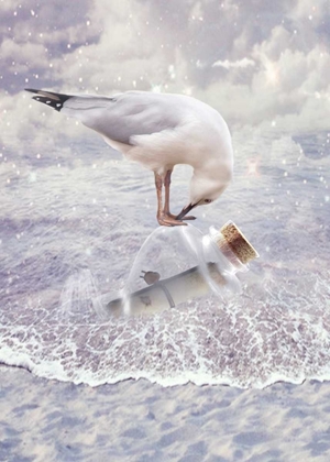 Picture of BOTTLE AND SEAGULL