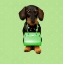 Picture of TECKEL GREEN