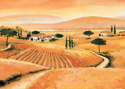 Picture of TUSCANY IV