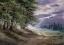 Picture of IN THE WOODS
