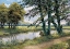 Picture of RIVER AND TREES