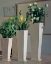 Picture of STILLIFE WITH WHITE VASES