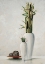 Picture of BAMBOO IN WHITE VASE I
