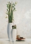 Picture of BAMBOO IN WHITE VASE II