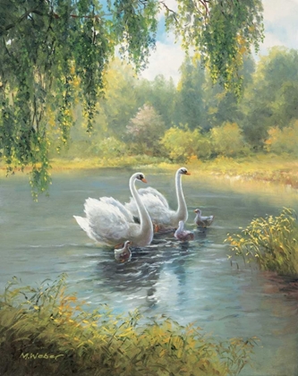 Picture of SWAN FAMILY I