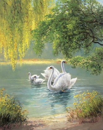 Picture of SWAN FAMILY II