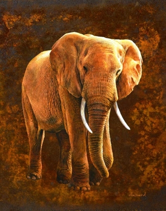 Picture of ELEPHANT 01