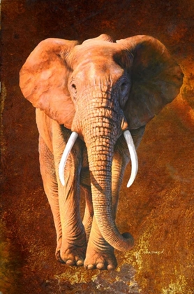 Picture of ELEPHANT 02