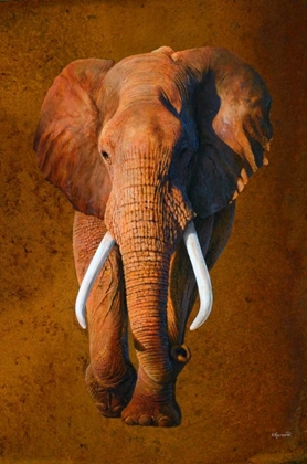 Picture of ELEPHANT 03