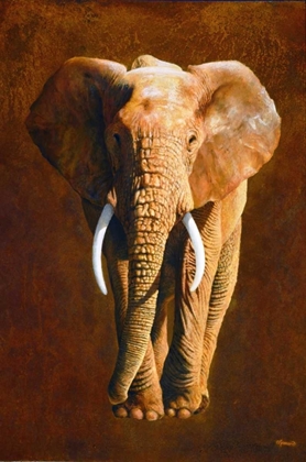 Picture of ELEPHANT 04