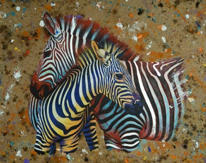 Picture of ZEBRAS