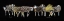 Picture of SHEEP 01