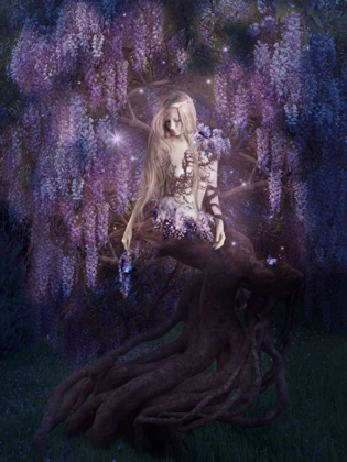 Picture of WISTERIA