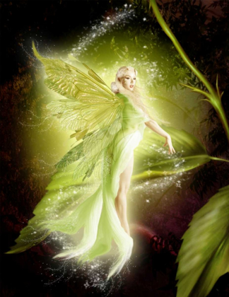 Picture of FAIRY 5