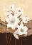 Picture of ORIENTAL LILIES
