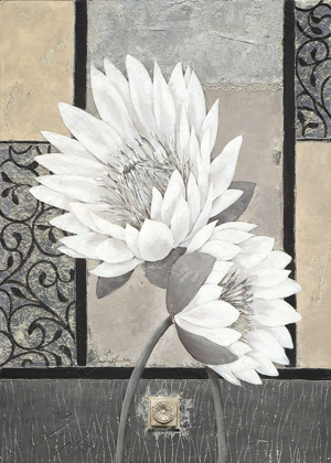 Picture of WHITE WATERLILY