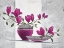 Picture of LEONIDA