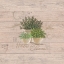 Picture of HERBES DE PROVENCE