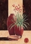 Picture of AGAVACEA