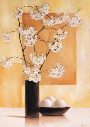 Picture of WHITE BLOSSOM I