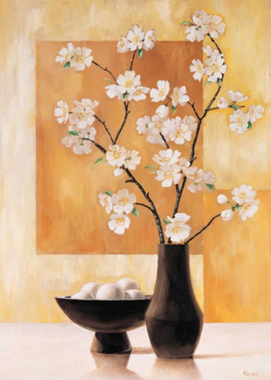 Picture of WHITE BLOSSOM II