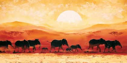 Picture of ELEPHANTS IN SUNSET