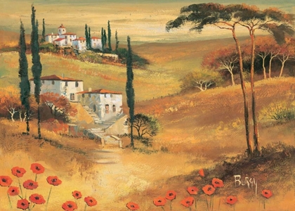 Picture of POPPIES IN TUSCANY II