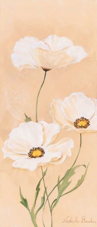 Picture of WHITE POPPY I