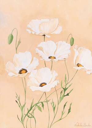 Picture of WHITE POPPY II