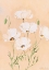 Picture of WHITE POPPY II