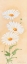 Picture of WHITE MARGARITE I