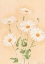Picture of WHITE MARGARITE II